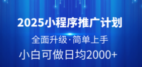 2025小程序推广计划，全面升级，简单上手，日均2000+