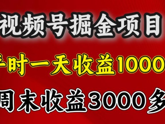 官方项目，一周一结算，平时收益一天1000左右，周六周日收益还高