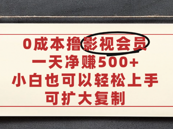 亲测，0成本可批量操作，靠卖影视会员实测月入30000+