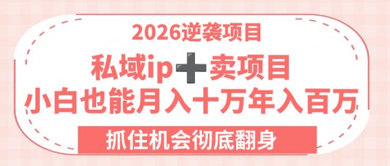 2026逆袭项目-私域ip+卖项目，小白也能月入十万年入百万，抓住机会彻底翻身！